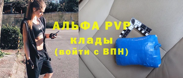 СК Аркадак