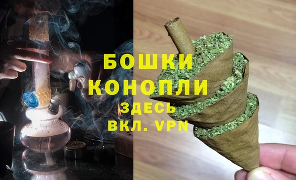 СК Аркадак