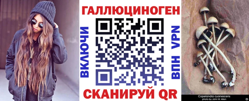 Псилоцибиновые грибы Cubensis Купить Питкяранта